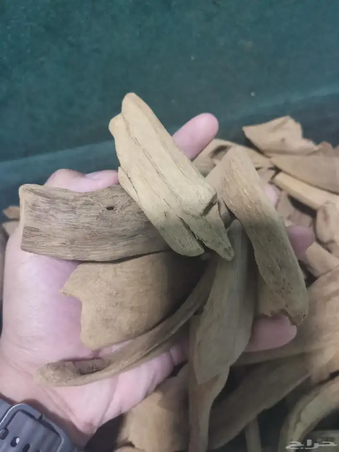 عود الموروكي الطبيعي سوبر واقل وحجمه كسر مباخر 1