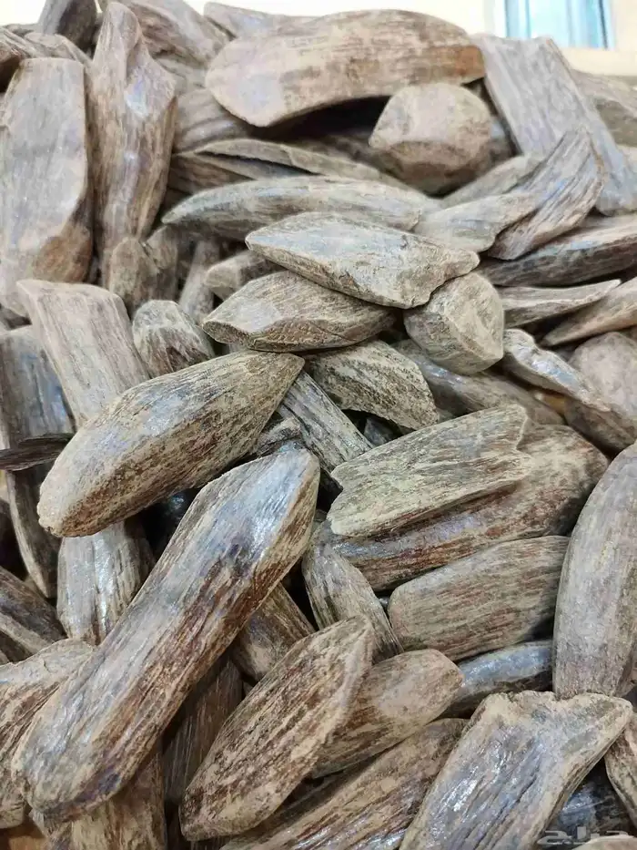 عود وعطور مميزة 4