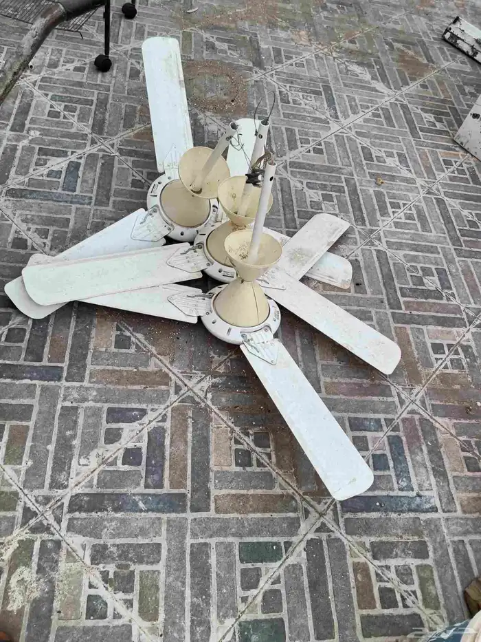 مروحة بانسوينك 1