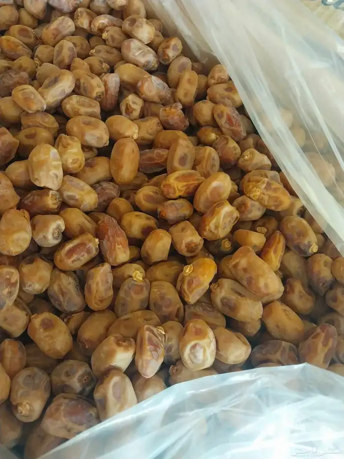 يوجد لدينا جميع انواع التمور خلاص حولي 800كرتون 2