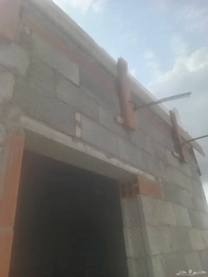 نجار مسلح موجود في الليث غميقة 0