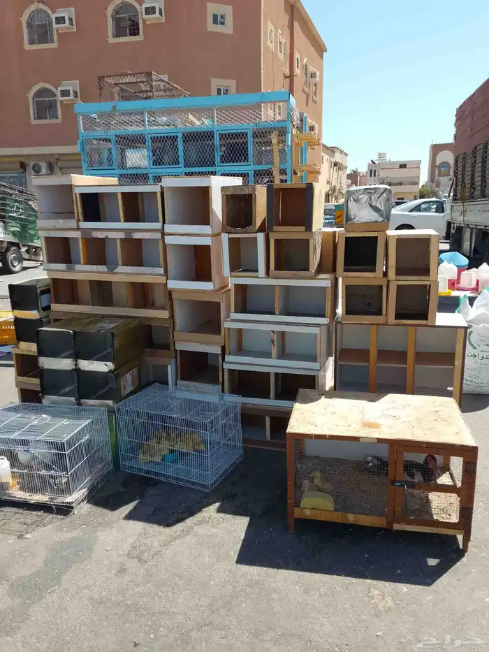 تنك للحمام والدجاج 1