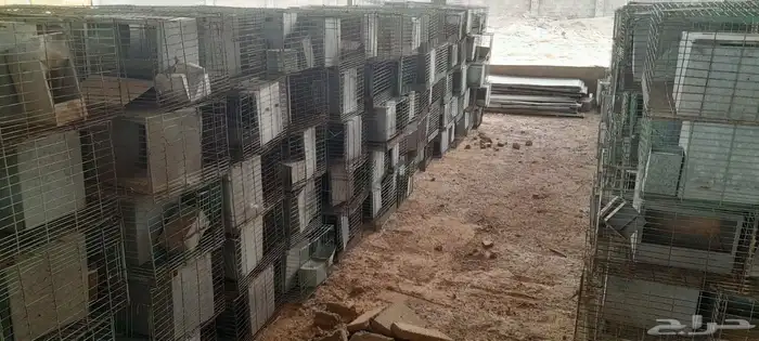 بطاريات أرانب للبيع 1
