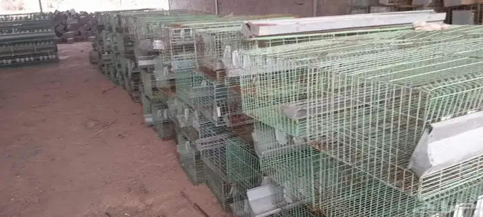 بطاريات أرانب للبيع 0