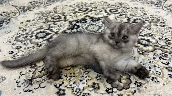 علاج للاكتئاب 3