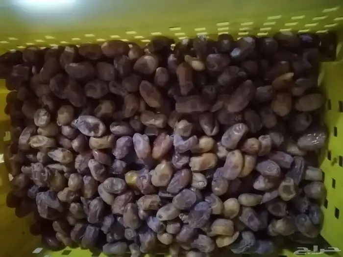 ضميد تمر فاخر سكري وونان وبرحي و خلاص وزن 3كيلو 2