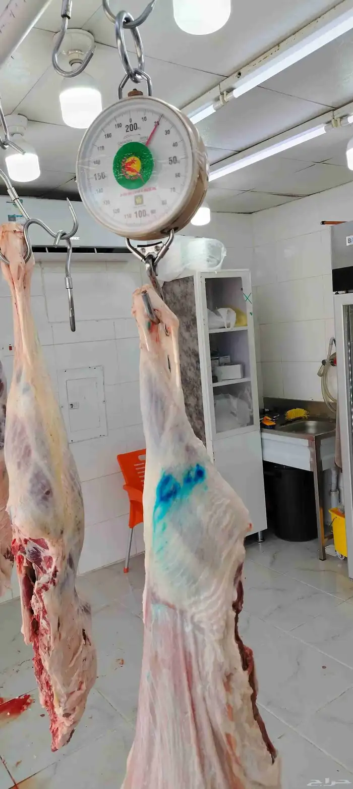 أنا جزار خبرة في مجال الملاحم أي ملحمه خبره 4 سنوات متمكن 4