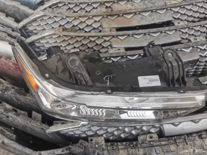 سكويا 2012 2013 2014 2015 1