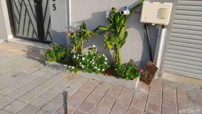تنسيق الحدائق العامه والخاصه 9