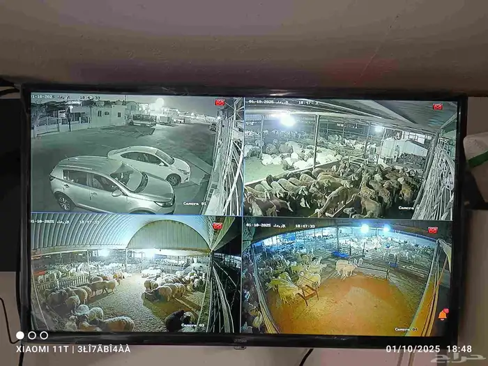 كاميرات مراقبه 2