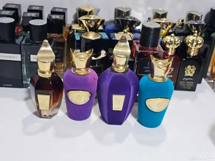عطور نيش حصريه اصلي 6