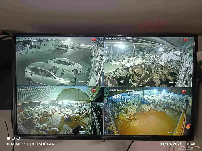 كاميرات مراقبه 1