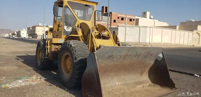 المدينه المنورة 0