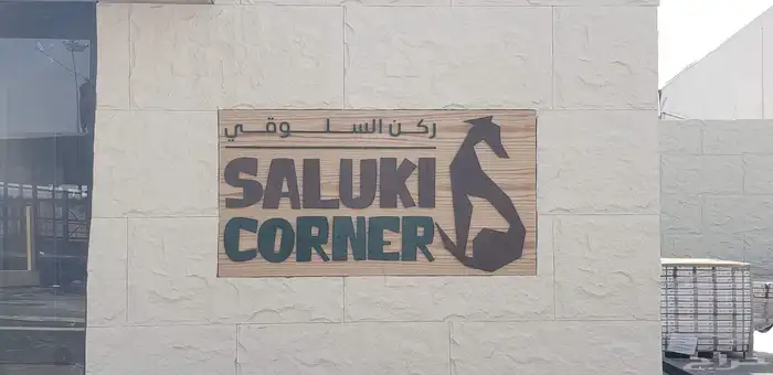 خطاط دعايه اعلان 4