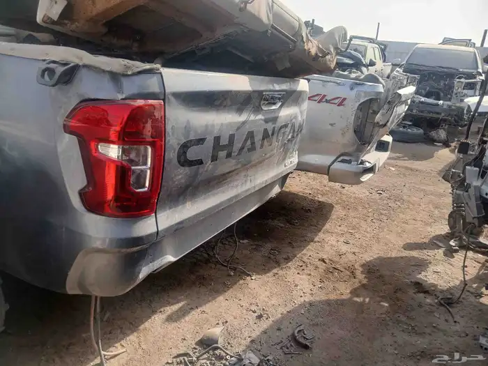 شنجان وانيت 2024 6