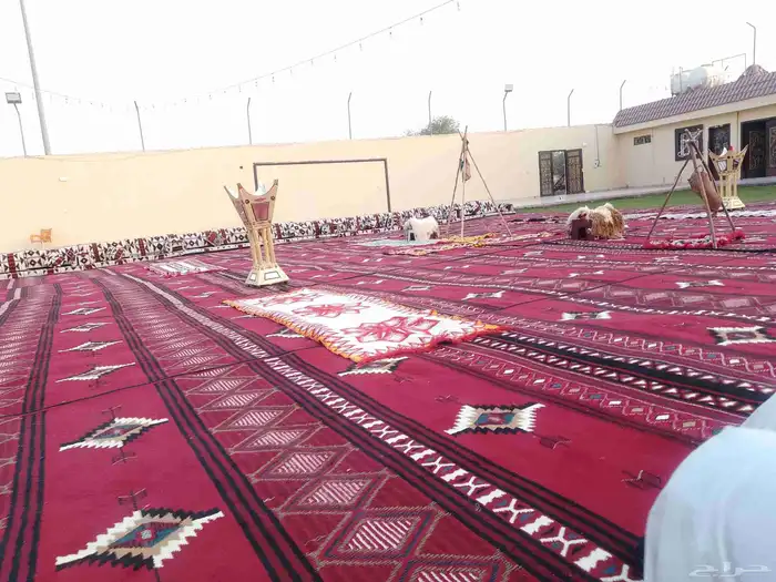 تاجير جلسات شعبي تاجير جلسات خارجيه تاجير جلسات مغربي 0