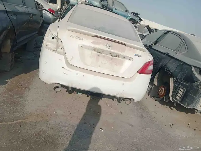 نيسان مكسيما 2010 1