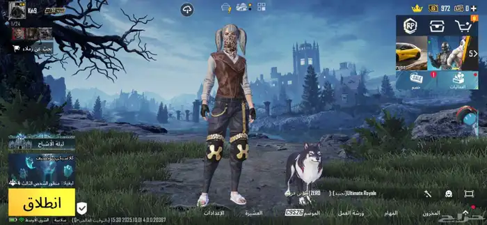 حساب ببجي عالميه نوادر 2