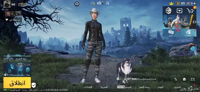 حساب ببجي عالميه نوادر 0