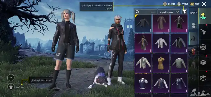 حساب ببجي عالميه نوادر 3