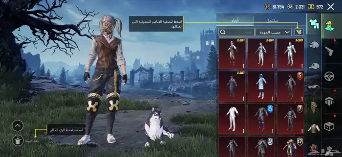 حساب ببجي عالميه نوادر 4