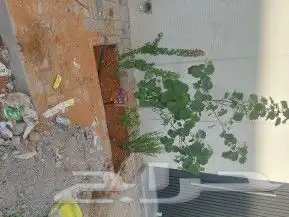 مشتل لتنسيق الحدائق 7