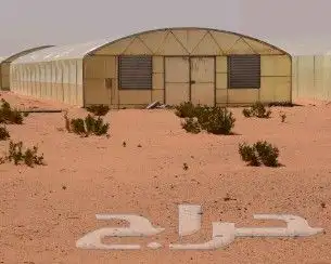 با ستاني مقاول البيوت محميه 1