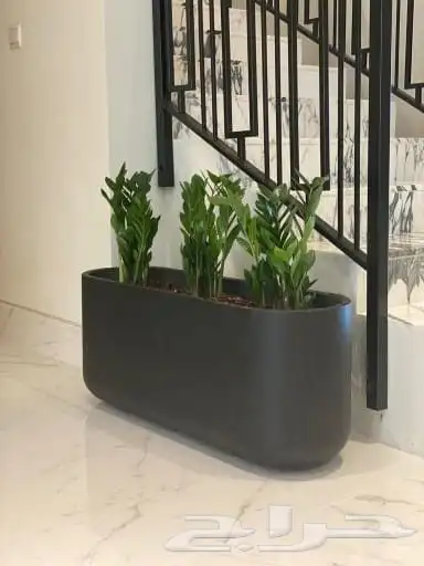 مشاتل مشتل 0