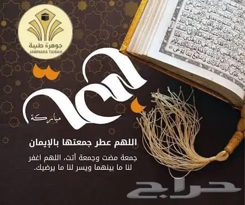 اريد شقه مفروشه غرفه وحمام ومطبخ وصاله في حي الخضرا 0