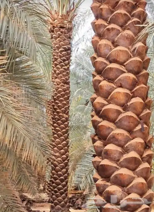 سلام عليكم ورحمه الله وبركاته نقوم بجميع مقاولات 4