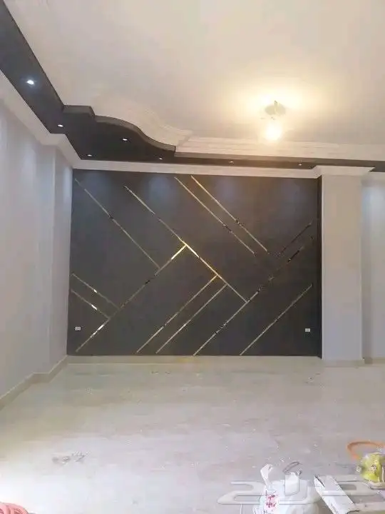 دهان وسباغ جدران 3