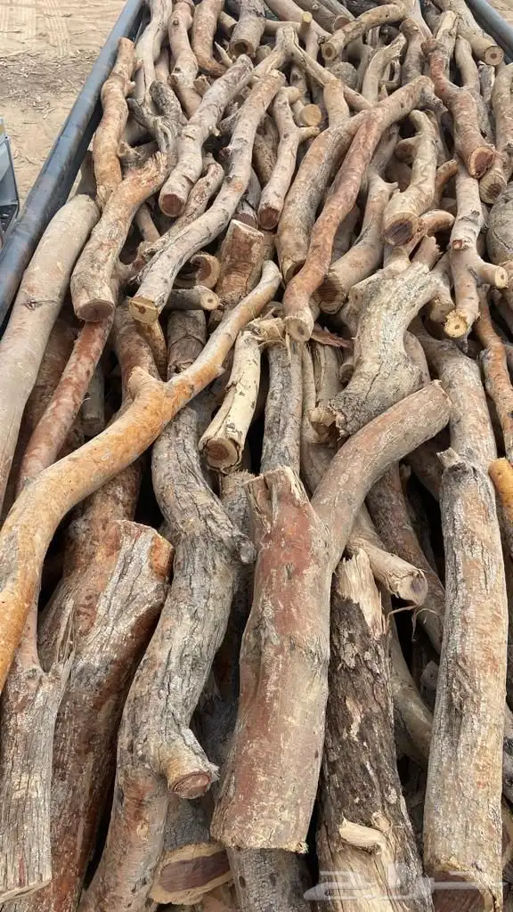 دينا موديل 2000 قطع غيار اصليه 0