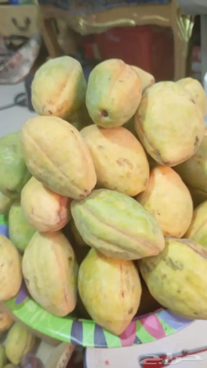 لوز بجلي بيذام 5