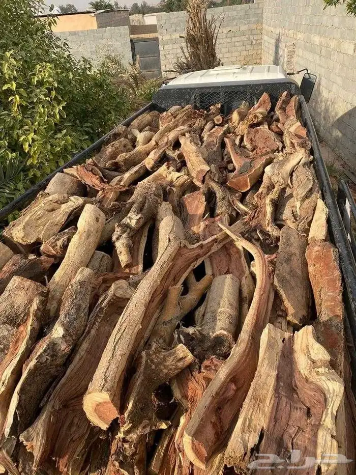 دينا موديل 2000 قطع غيار اصليه 1