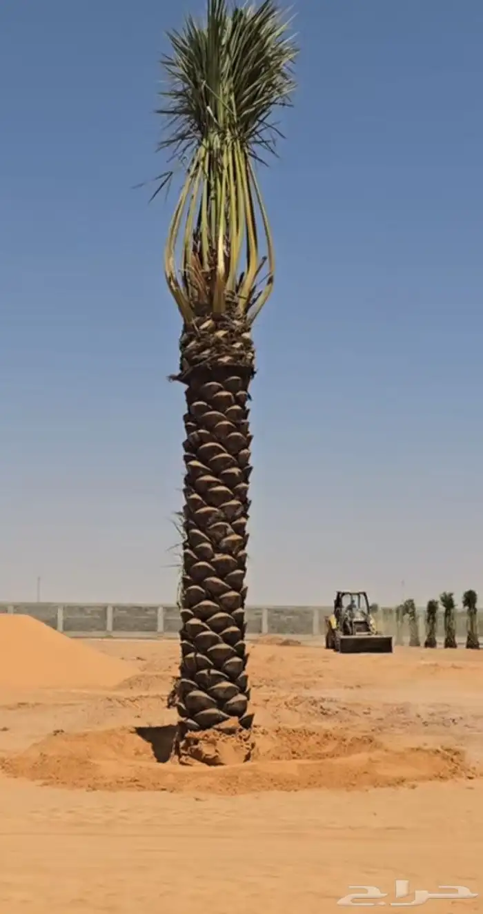 سلام عليكم ورحمه الله وبركاته نقوم بجميع مقاولات 3