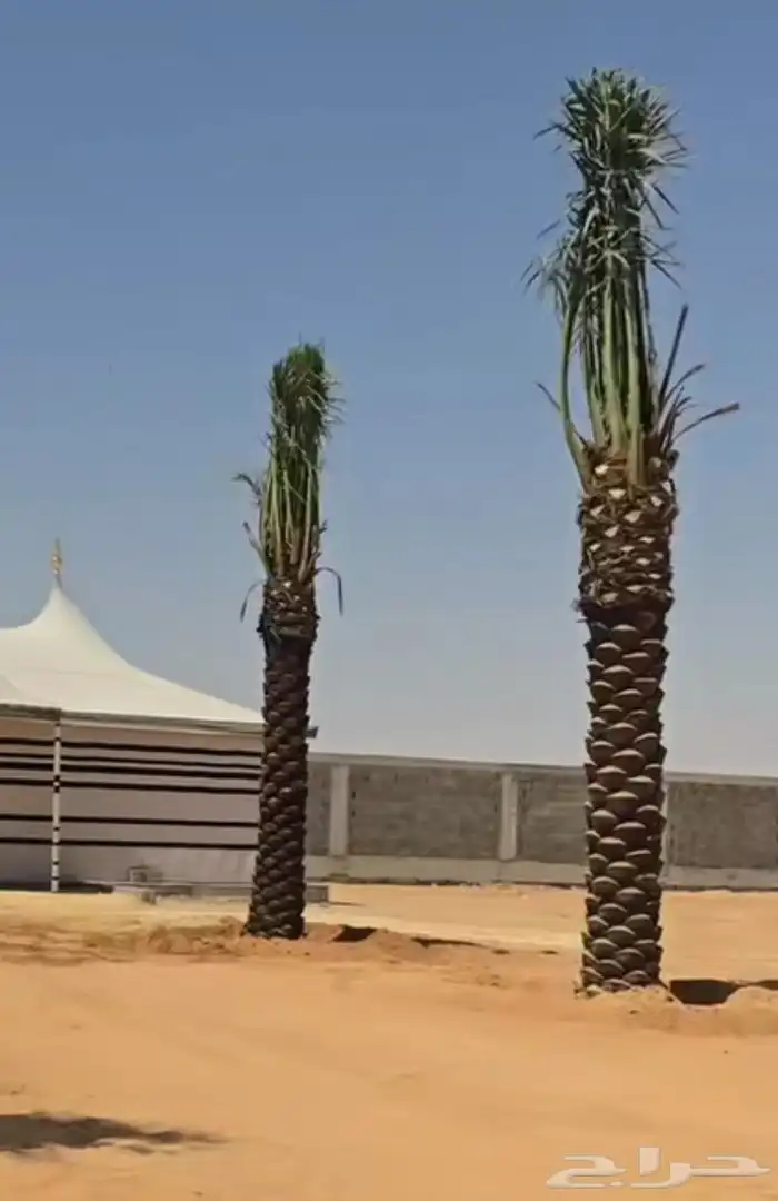 سلام عليكم ورحمه الله وبركاته نقوم بجميع مقاولات 5