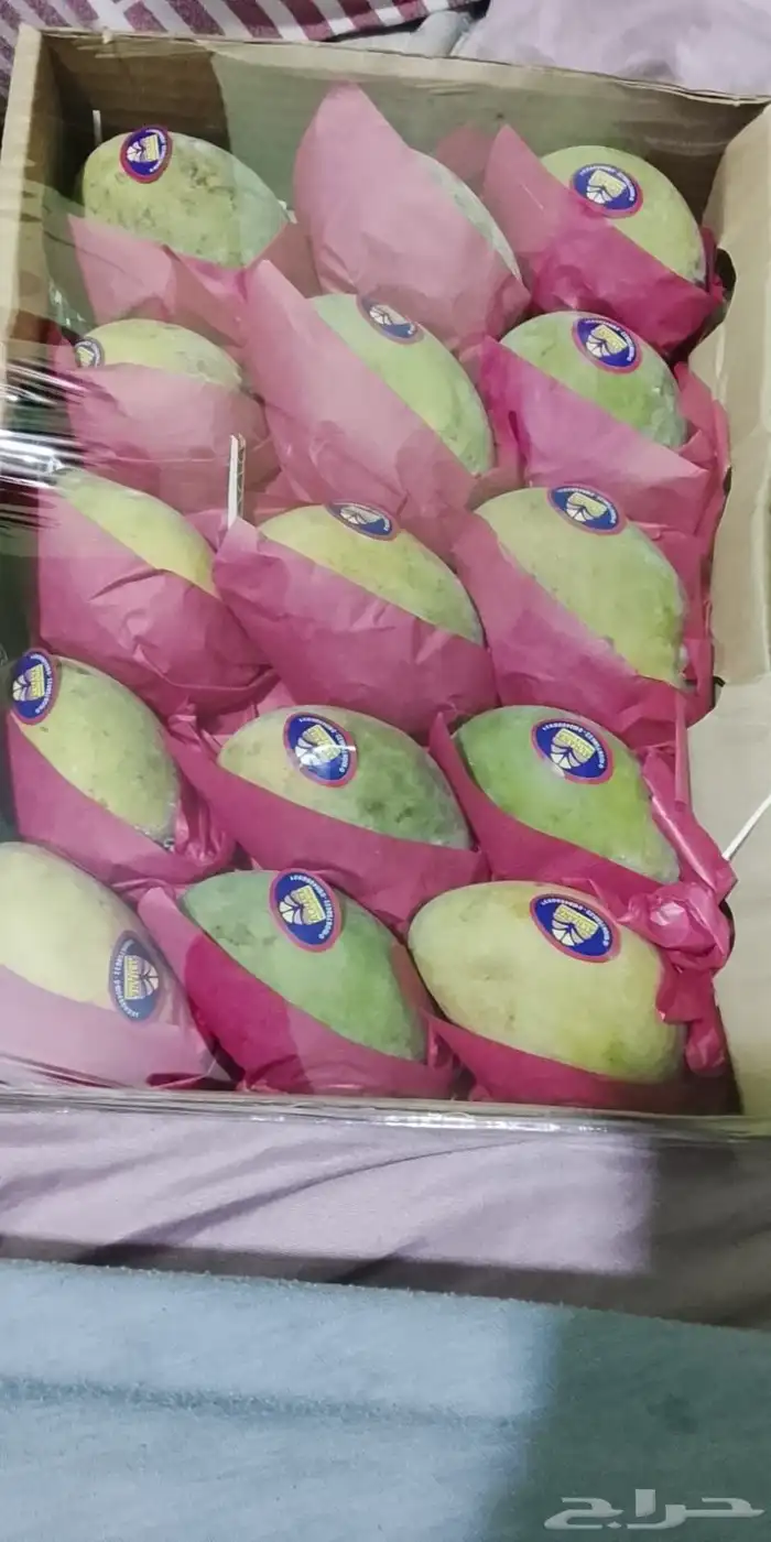 مانجه اسمعلاوي وجوافه قشطة 1