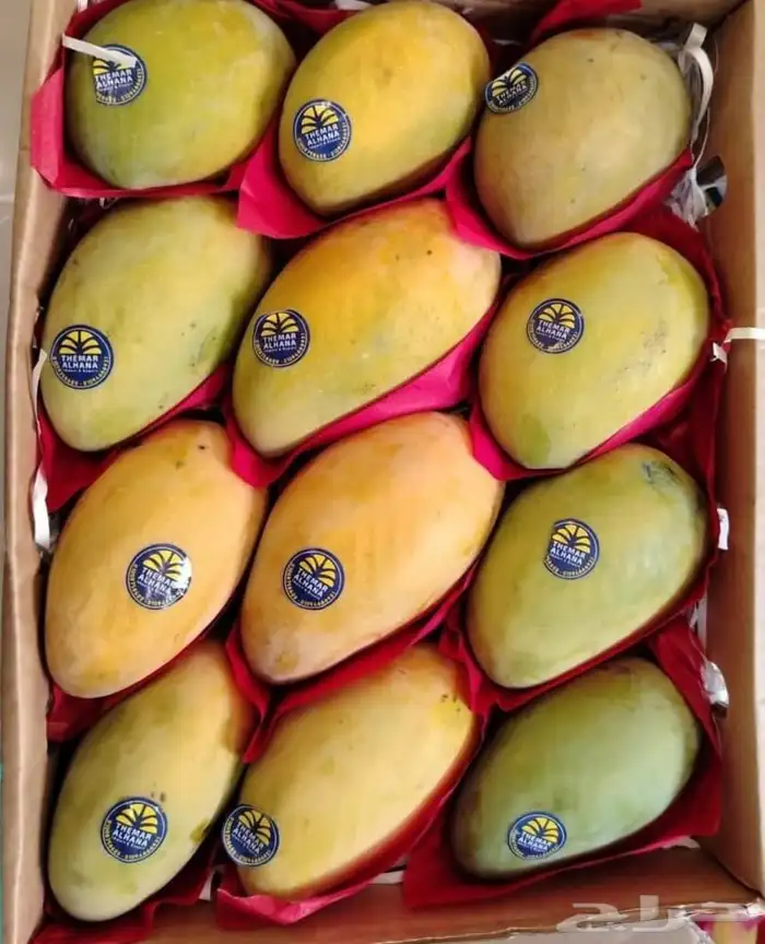 مانجه اسمعلاوي وجوافه قشطة 0