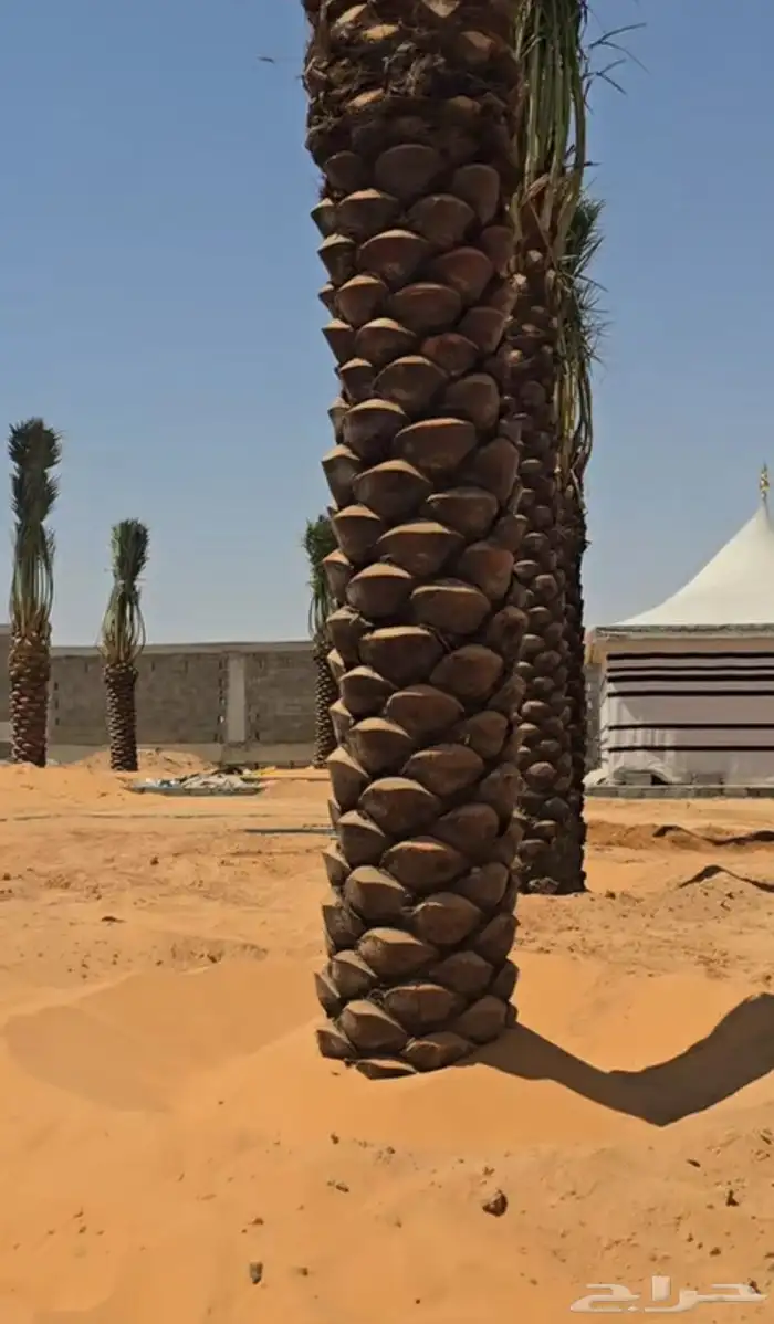 سلام عليكم ورحمه الله وبركاته نقوم بجميع مقاولات 6