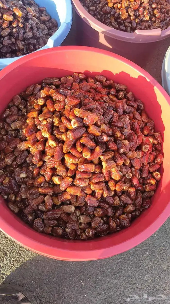 تمور حائل الفاخره 3