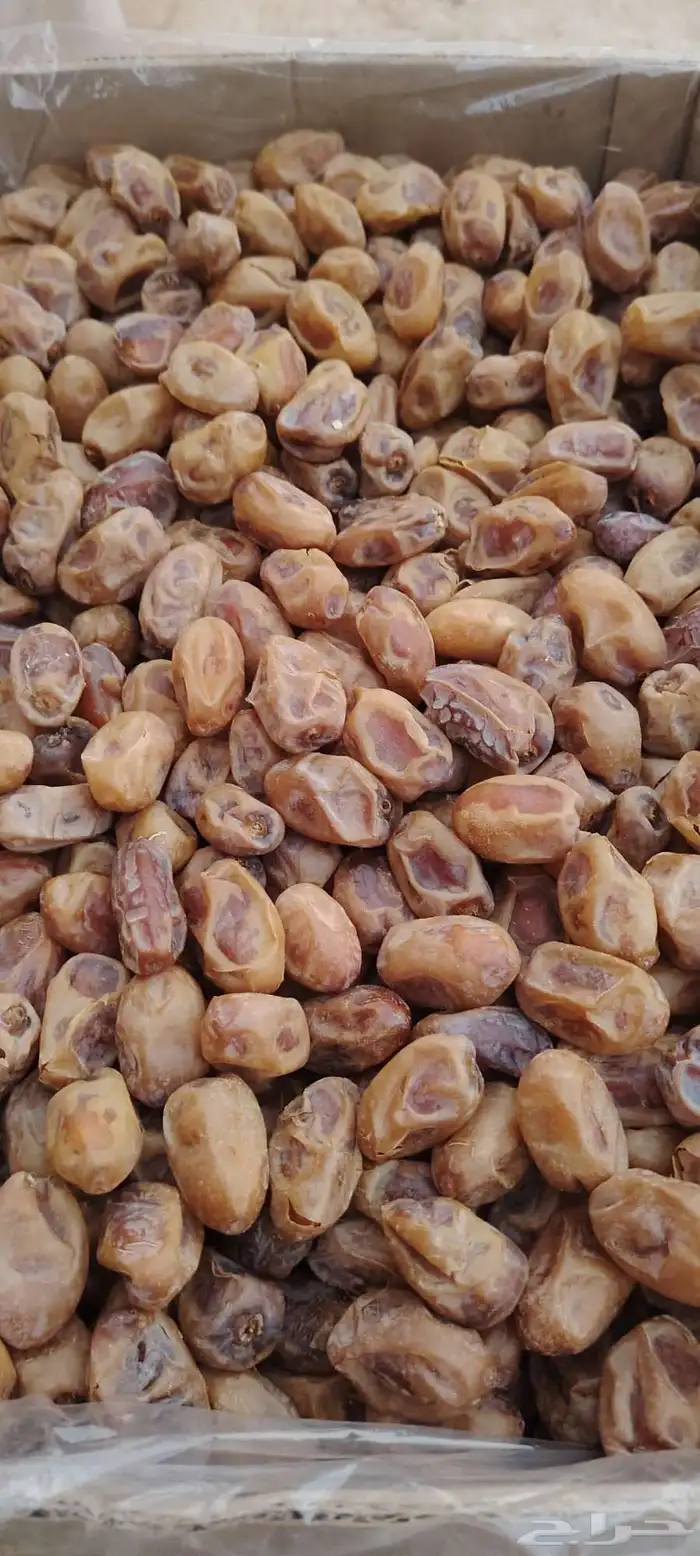 تمر خلاص 1