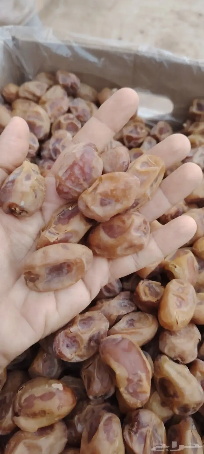 تمر خلاص 2