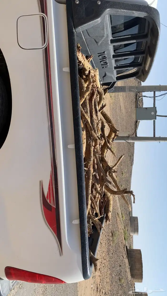سمر 2