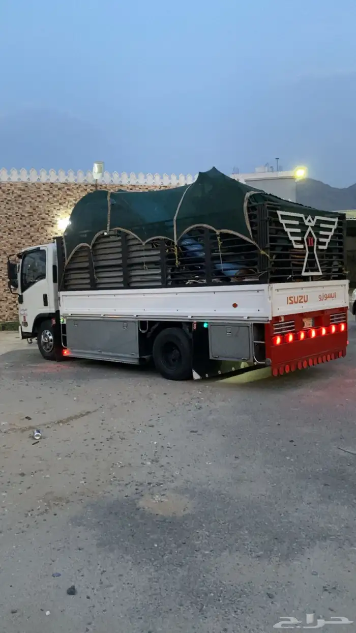 دينه خميس مطير بارق ثلوث المنظر وادي الخير 1