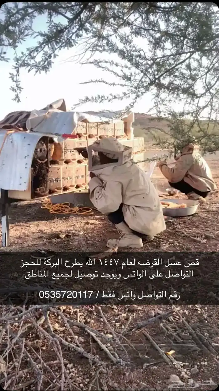 عسل و شمع 0