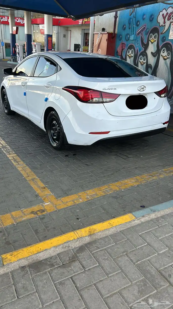 النترا 2014 14