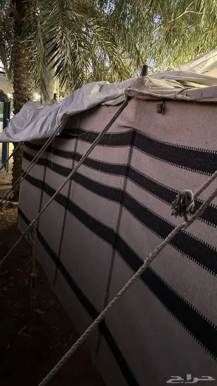 بيت شعر ابيض للبيع 4