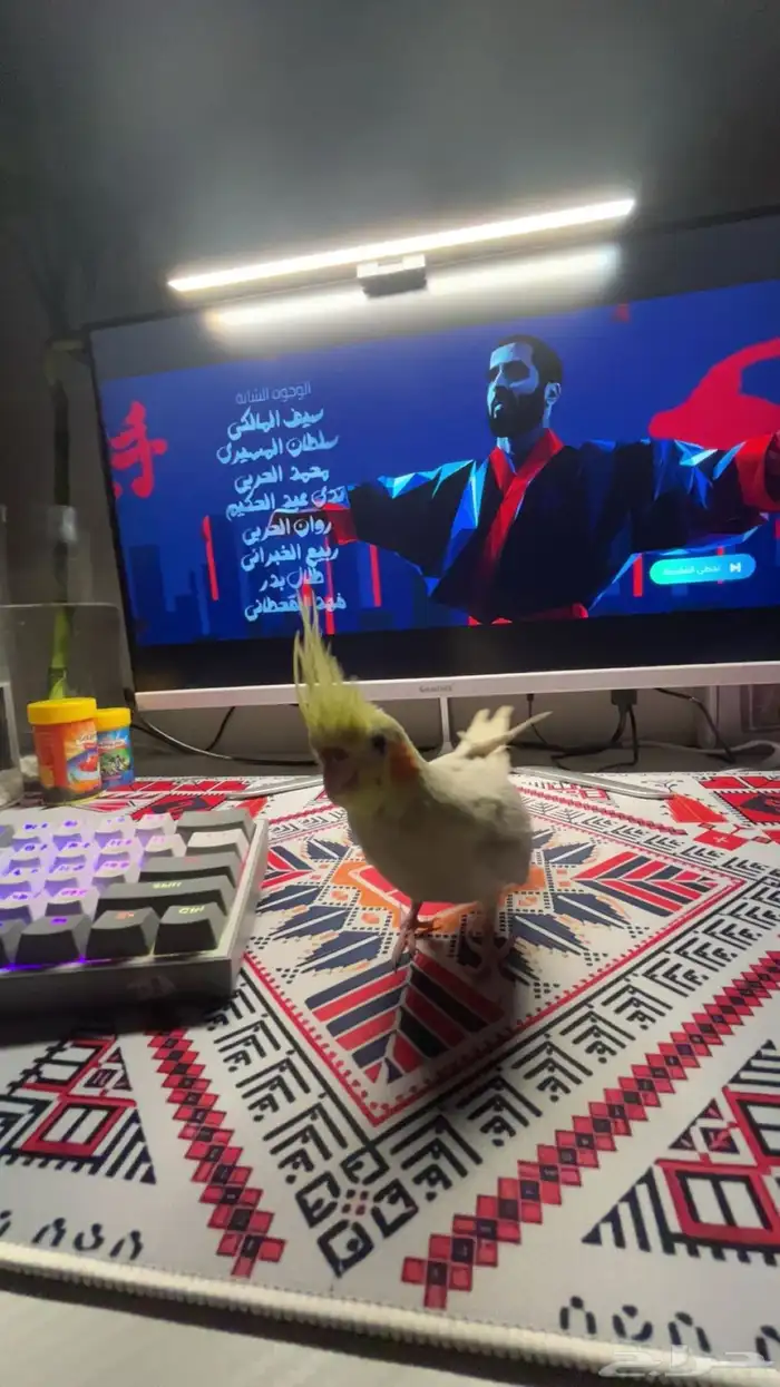 كروان اليف هدد خارجي بدايه كلام 13