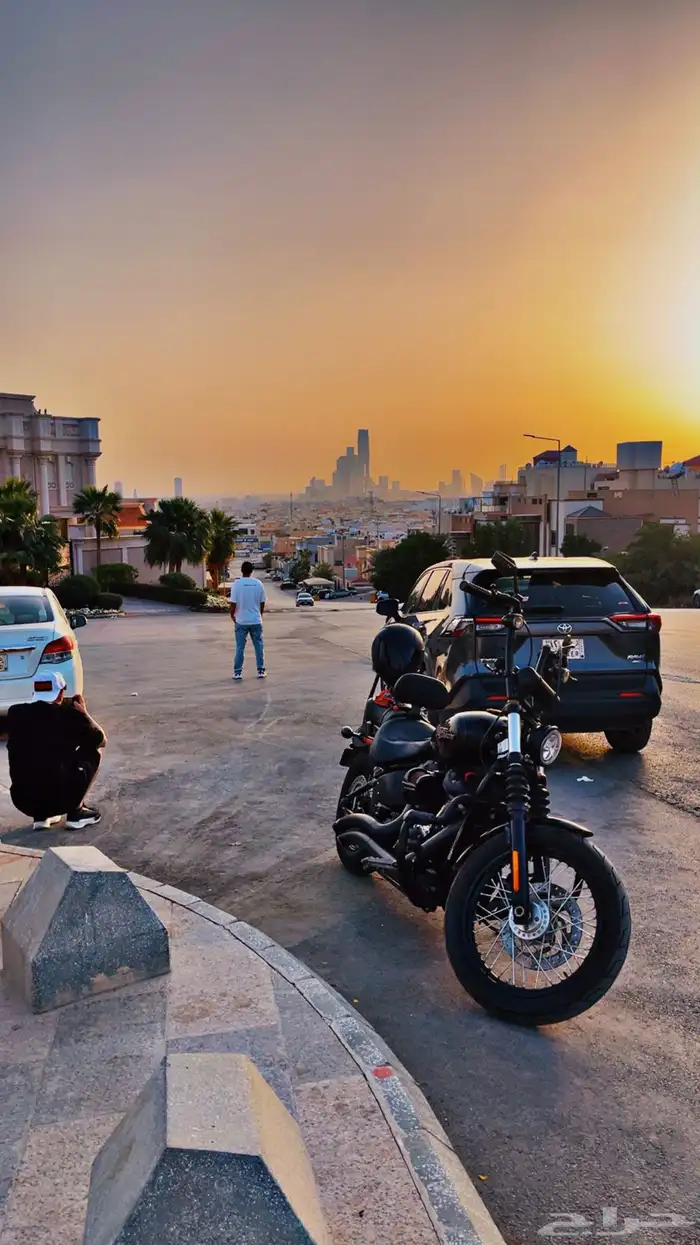 Harley Street Bob 2019   للبيع هارلي ستريت بوب 2019 0