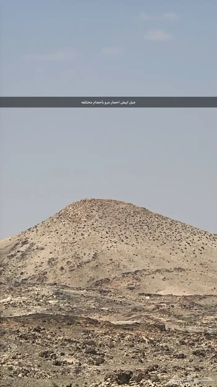 احجار بيضاء المرو لتصميم الحدائق والأرصفة والأرضيات 1